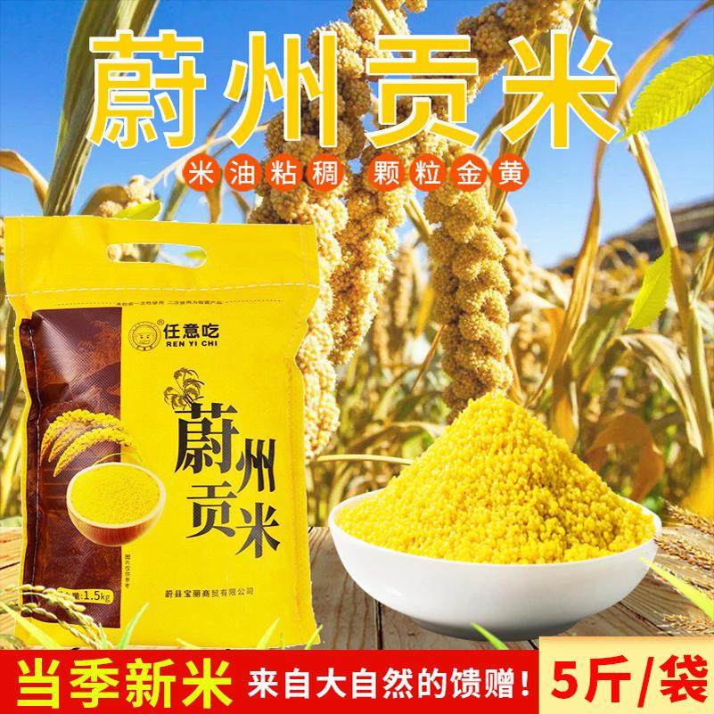 【25年新米】蔚县黄小米5斤/蔚州贡米农家现磨新小米粥张家口特产