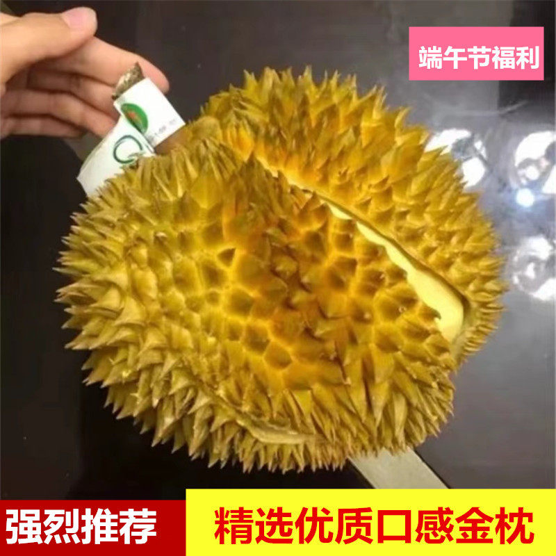 强烈推荐正宗泰国金枕肉多核小