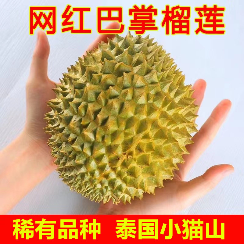 泰国鲜果托曼尼榴莲新鲜水果应季整个带壳小猫山迷你巴掌一级榴莲