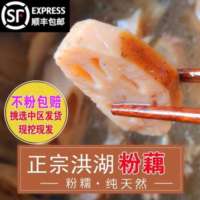 湖北正宗新鲜莲藕粉藕洪湖煲汤食用桂花糯米藕莲藕现挖现发带泥