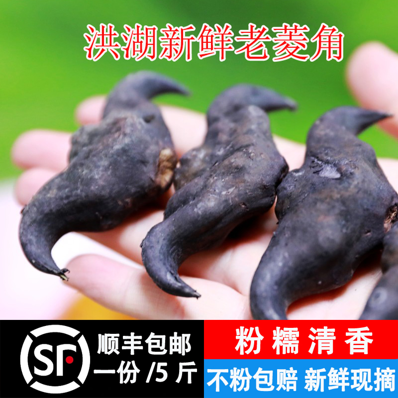 顺丰包邮湖北棱角老菱角洪湖生菱角黑菱角老菱角脱皮青菱角3斤4斤