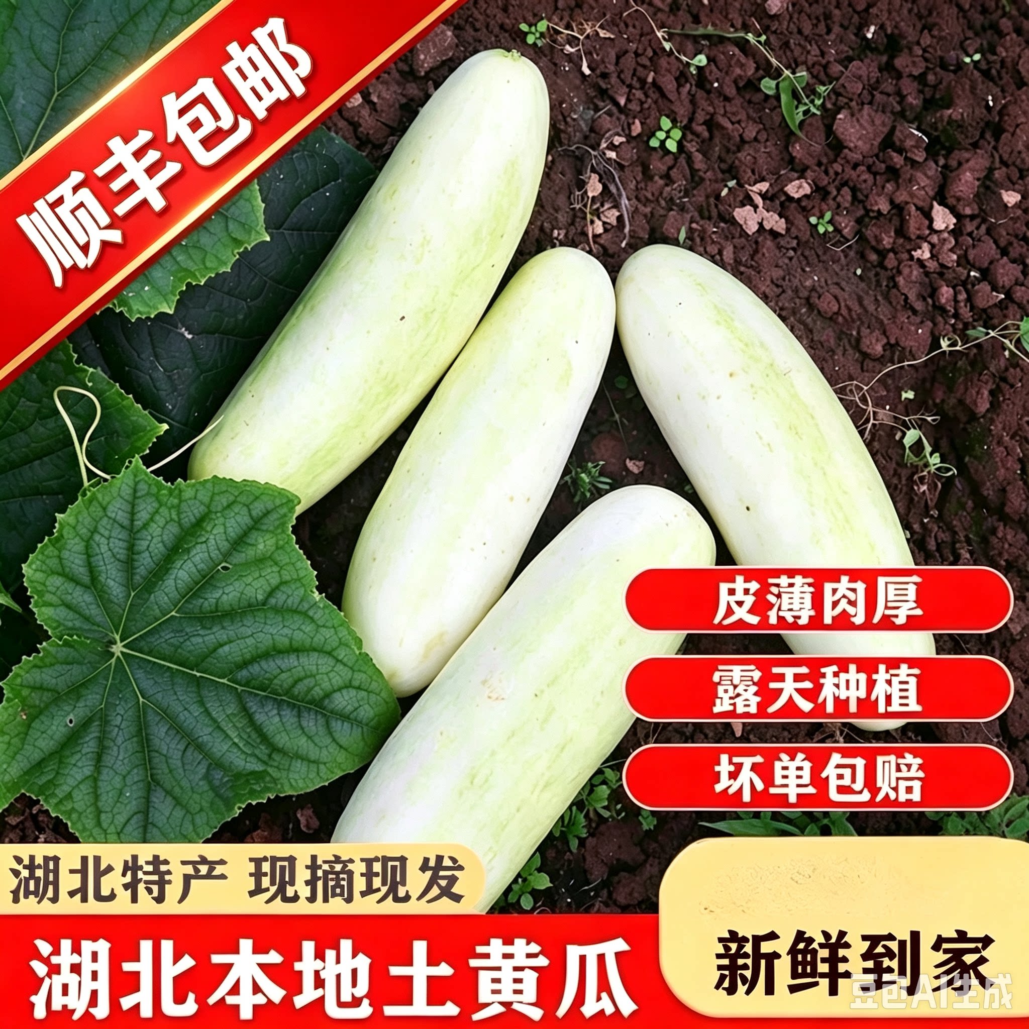 顺丰湖北新鲜黄瓜土黄瓜农家时令蔬菜露天种植白黄瓜现摘现发