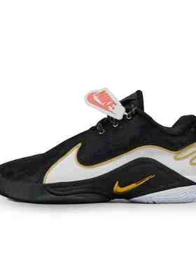 Nike耐克25春季新款LEBRON 22詹姆斯22男子训练实战篮球鞋HV8453