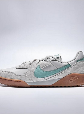 Nike耐克男子25秋冬TERRA MANTA SUEDE低帮薄底运动休闲鞋IM6483