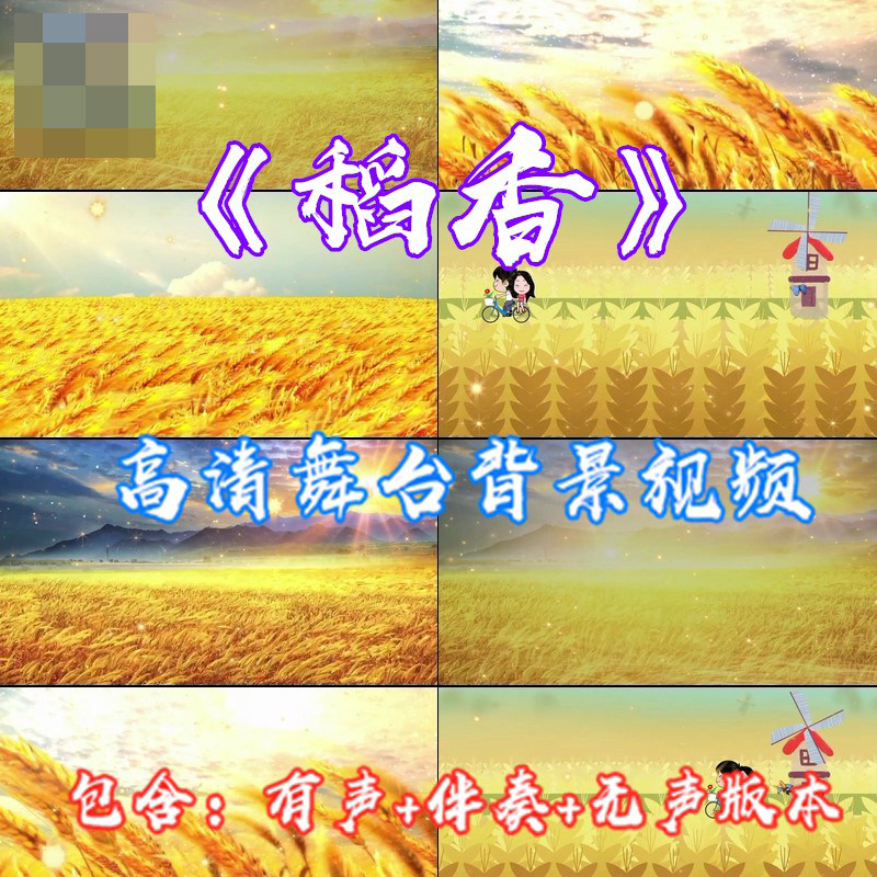 《稻香》周杰伦金色麦田成品大型晚会节目演出表演led背景视频