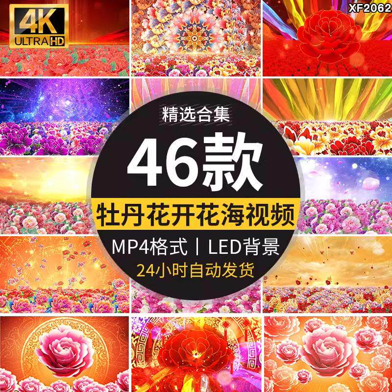富贵牡丹花开盛世喜庆花瓣飞舞蹈跳舞台开场舞led大屏幕背景视频