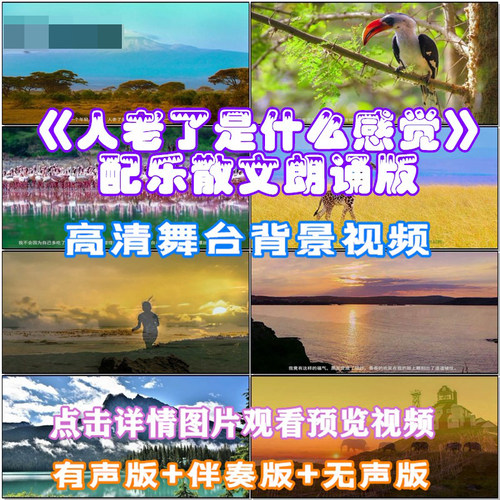 配乐散文《人老了是什么感觉》朗诵版 LED晚会舞台大屏幕高清视频