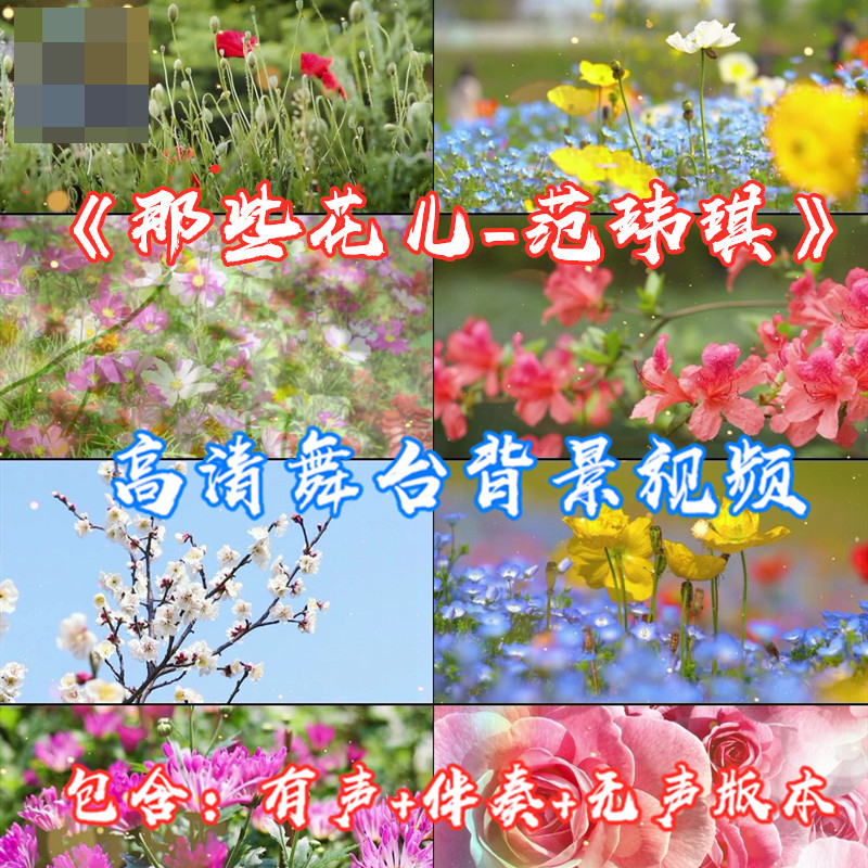 那些花儿-范玮琪歌曲成品配乐伴奏舞台表演LED大屏幕视频素材