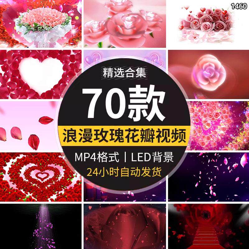 唯美红玫瑰花瓣粒子浪漫婚礼情人节表白求婚LED屏幕背景视频素材