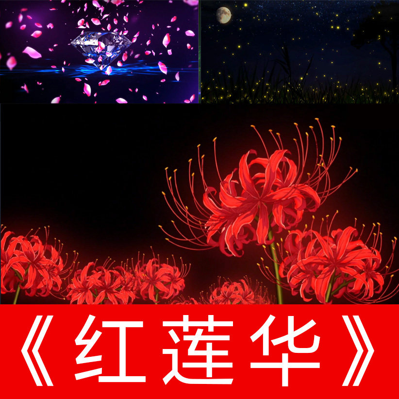 红莲华红莲之花歌曲成品伴奏音乐优雅高清led视频屏幕背景素材