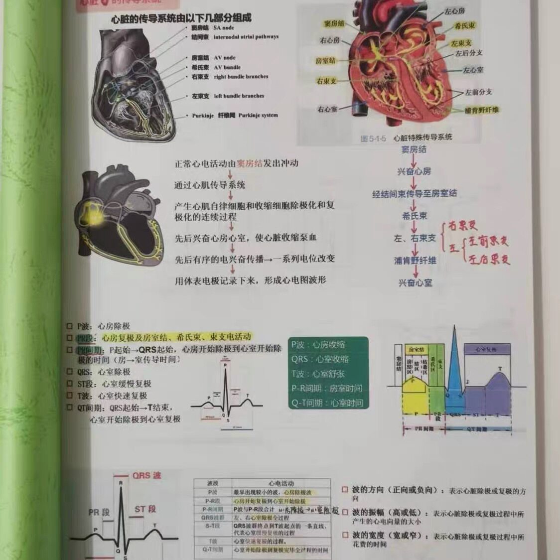 新版心电图笔记彩色心电图笔记笔记本心脏结构教学参考高清打印