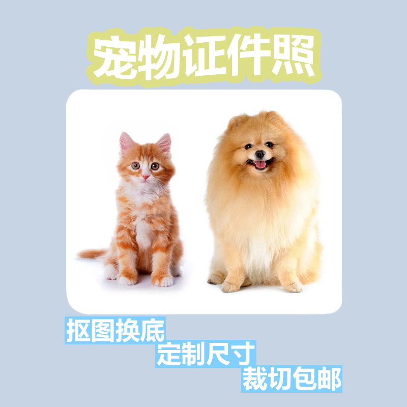宠物证件照 猫咪小狗狗1寸2寸照抠图换底修图冲印打印洗照片办证