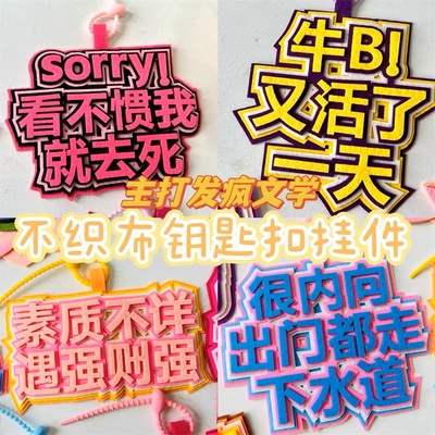 ins抖音小红书同款不织布挂件