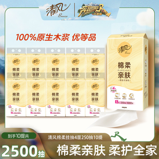奔跑吧清风同款 家用手纸卫生纸手纸 棉柔挂抽250抽10提抽纸悬挂式