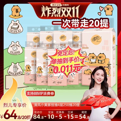 【烈儿炸烈双11】清风棉柔卡皮巴拉挂抽4层250抽20提