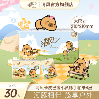 清风随身装手帕纸30包