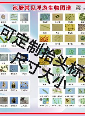 定制淡水藻类寄生虫小龙虾挂图谱水产养殖浮游动植物高清鱼疾病