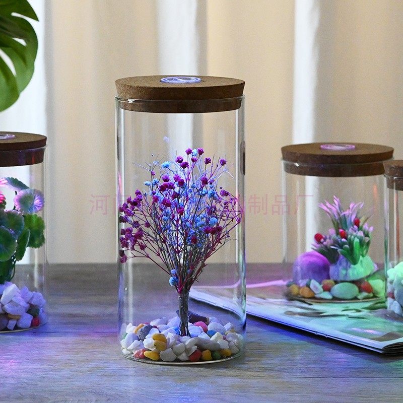 直筒绿植瓶DIY微景观生态瓶养斗鱼瓶带孔盖子生日礼物星星瓶带灯