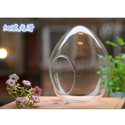 蛋形瓶微景观生态瓶透明玻璃花瓶城堡玻璃瓶创意礼品摆件瓶苔藓瓶