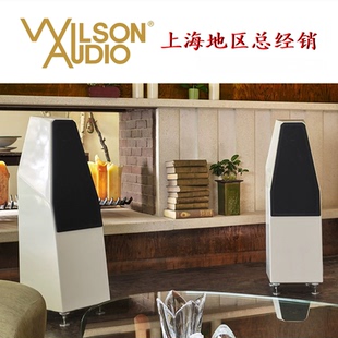 美国Wilson Audio/威信 Sabrina X莎宾娜 X落地式音箱 原装进口
