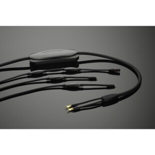 美国Transparent参考系列Biwire Speaker双线输出喇叭线