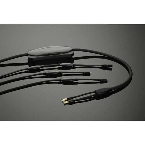 美国 天仙配 Transparent参考系列Biwire Speaker双线输出喇叭线