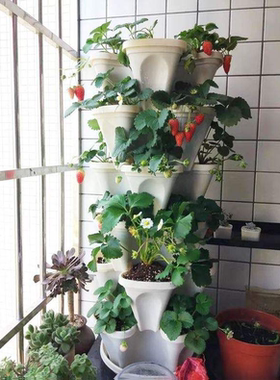 莓立体种植槽架家好用种草莓专用盆草莓盆栽盆阳台花盆种菜阳台