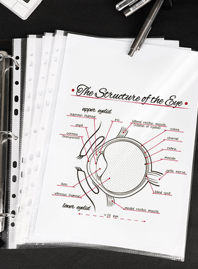 得力5712/5715文件袋11孔资料备用袋保护套文件袋 2/3/4孔文件夹