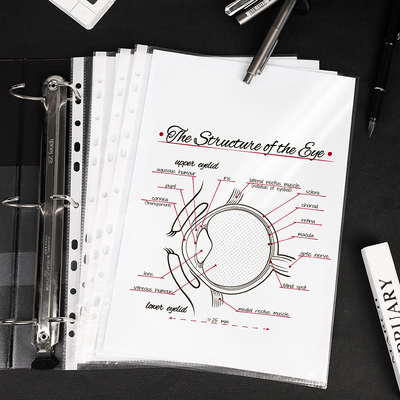 得力文件资料保护套文件袋