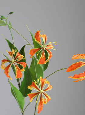 仿真花[嘉兰火焰百合]家居装饰花艺师插花摄影道具摆件陈设婚礼