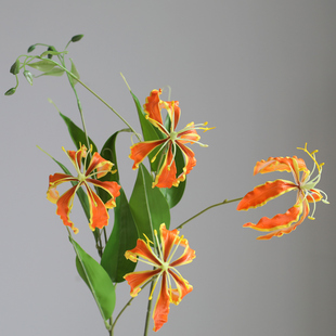 仿真花[嘉兰火焰百合]家居装饰花艺师插花摄影道具摆件陈设婚礼