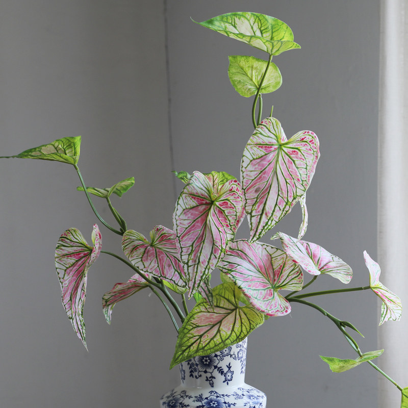 仿真花植物3D手感粉绿色海芋叶家居餐桌装饰插花热植带根须蕨类