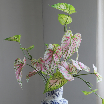 热植插花3D带根须蕨类粉绿色家居