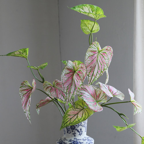 热植插花3D带根须蕨类粉绿色家居