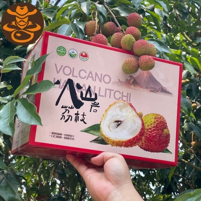 海南妃子笑荔枝礼盒装顺丰空运