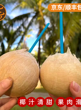 海南三亚奶香椰皇老树现摘当应季新鲜椰子水果礼盒装果园现发顺丰