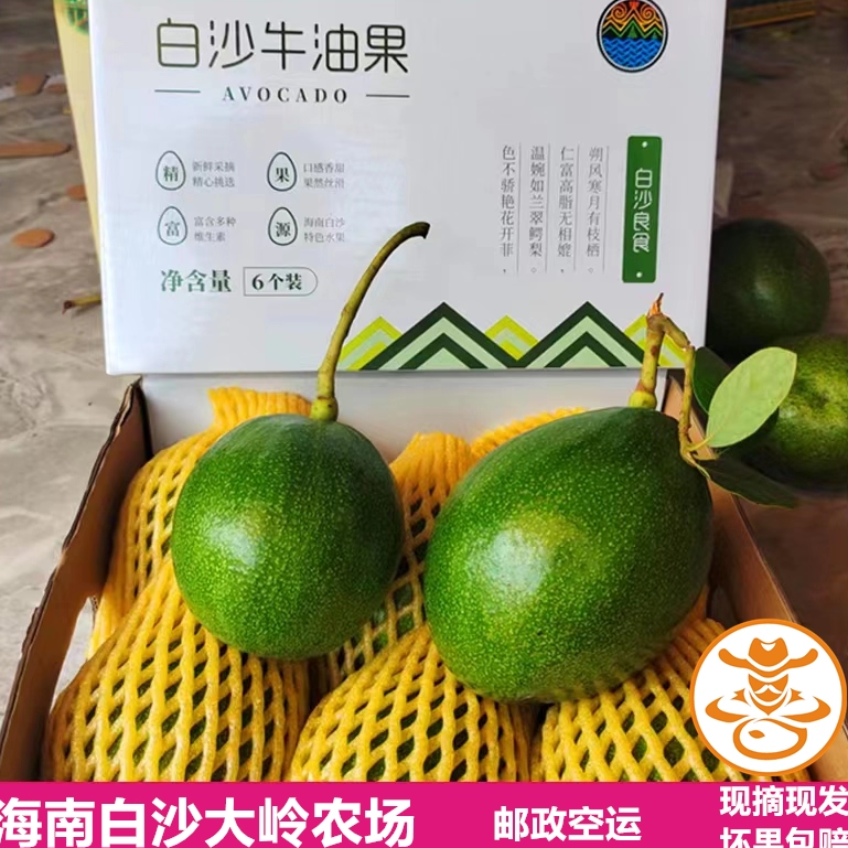 海南白沙牛油果桂颜粉糯特大果