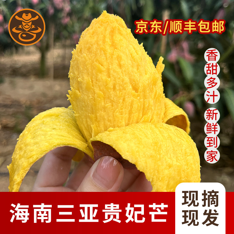海南三亚树上熟贵妃芒果红金龙新鲜应季热带水果五斤多汁礼盒装
