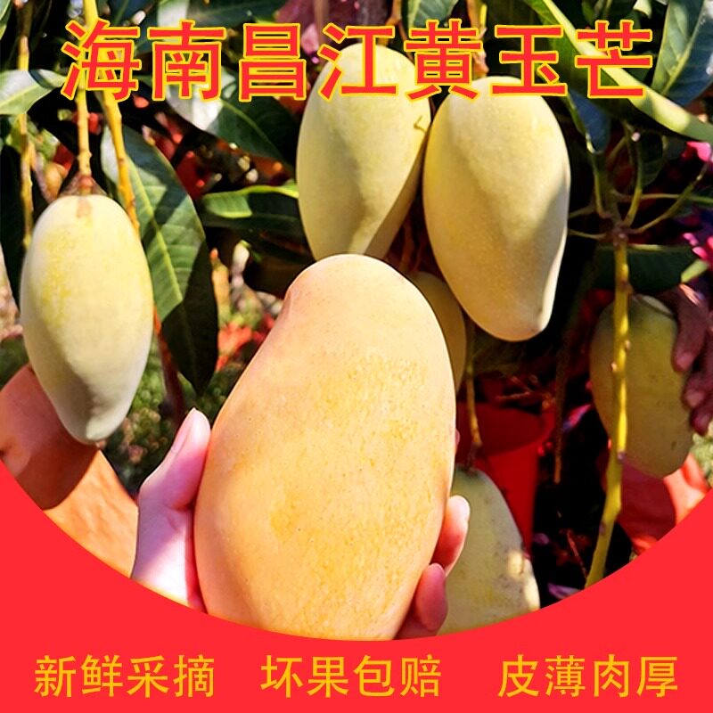 海南带箱礼盒装新鲜水果
