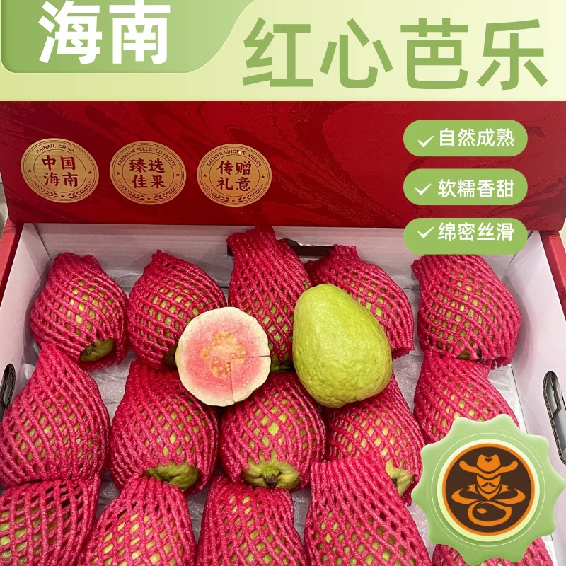 琼海红心芭乐大果脆口新鲜礼盒