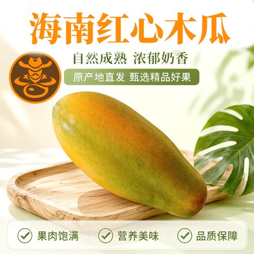 海南特产树上红心牛奶木瓜