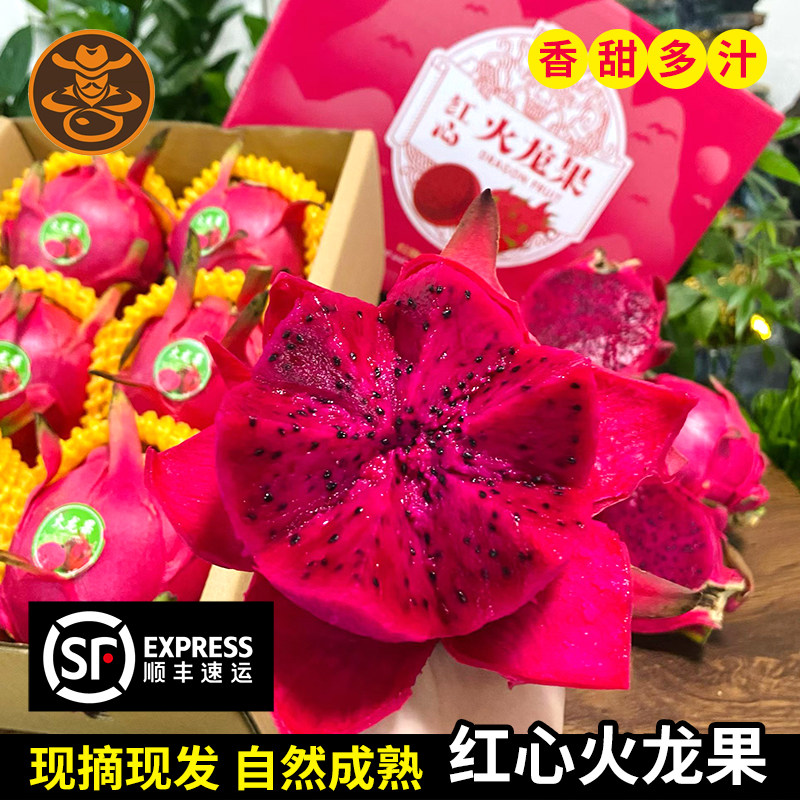 海南三亚特产金都一号大果红心火龙果5斤礼盒装果园现摘现