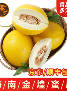 海南王精品金煌蜜瓜冰糖美人哈密瓜礼盒装甜香瓜顺丰新鲜应季水果
