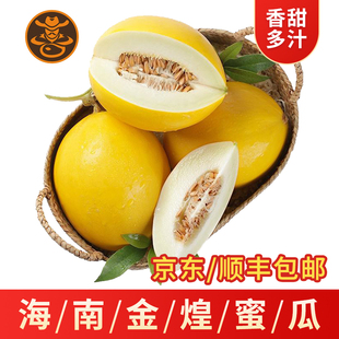 海南王精品金煌蜜瓜冰糖美人哈密瓜礼盒装甜香瓜顺丰新鲜应季水果