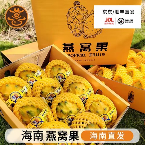 海南特产燕窝果特大白心火龙果麒麟果香甜水果礼盒现摘现发