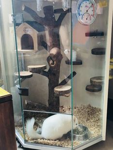 包邮 宠物柜笼精品柜笼高档柜笼龙猫笼豪华柜笼超大柜笼整体发货