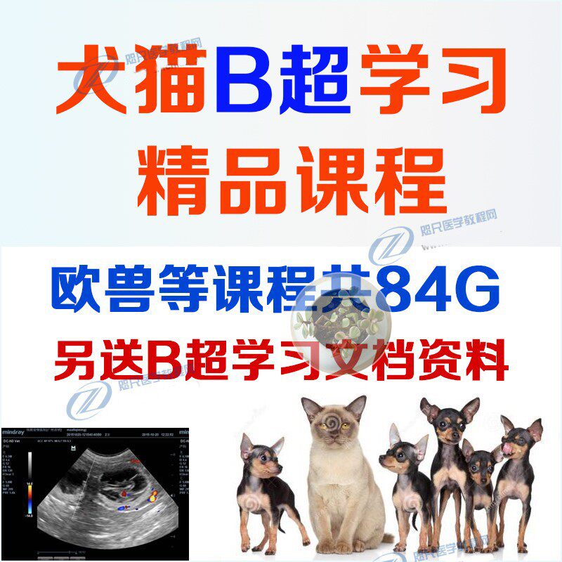 宠物动物犬猫狗B超学习视频课程欧洲兽医师培训腹部肝心脏彩超声