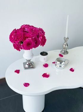 SilverOne银白色大口径欧式花瓶简约现代轻奢客厅插花装饰高级感