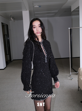 SNT 意大利进口暗黑璀璨花纱小香连衣裙