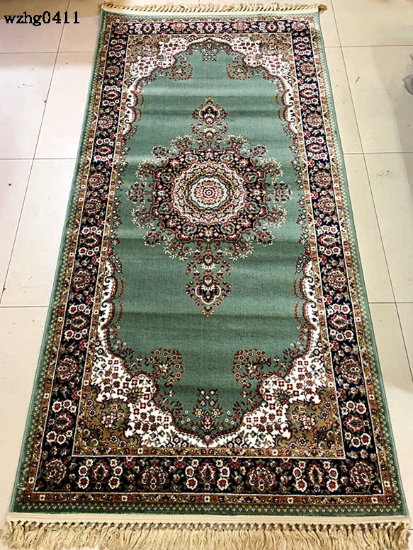 新疆地毯垫子长廊过道门口地毯子沙发坐垫长方形欧式加厚丝棉